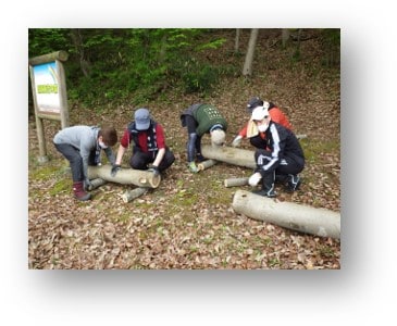 Spring activity: Simple bench production and installation