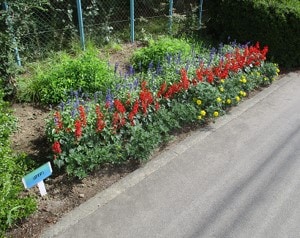 Flower beds for the "Hanasaku Michishirube Project"