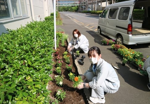 Hanasaku Michishirube Activities