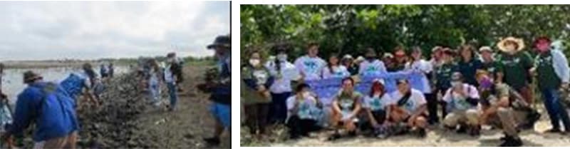 Mangrove planting activities (July 2022)