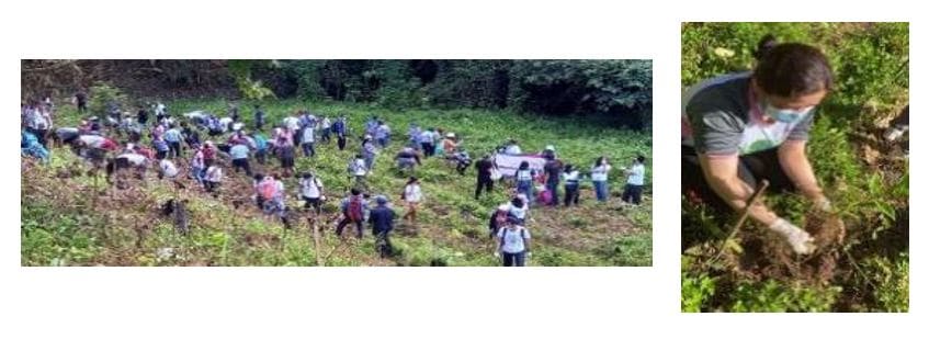 Tree Planting at Caliraya-Lumot Watershed