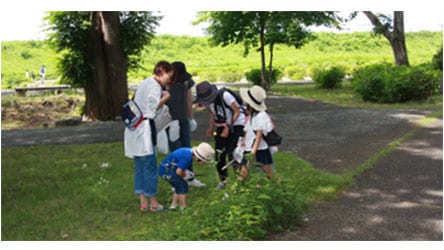 Employees' families also participated in cleaning up parks in the city