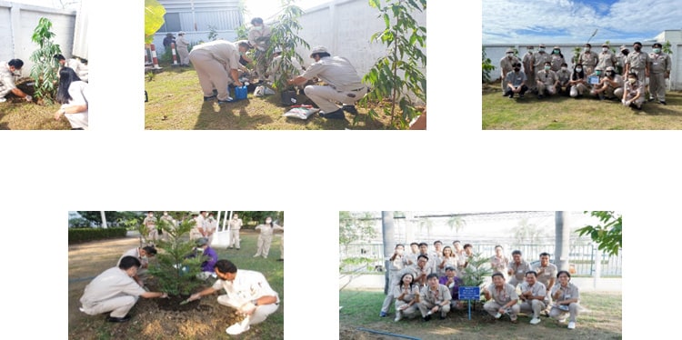 Tree-Planting Activities