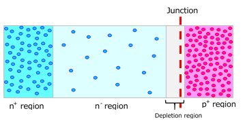 Figure 2-7 Unbiased pn junction diode