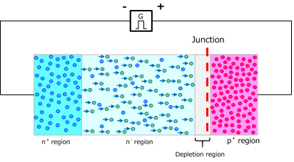 Figure 2-8 pn junction diode immediately after the application of a forward bias