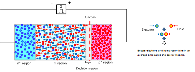 Figure 2-9 Forward-biased pn junction diode in a steady state