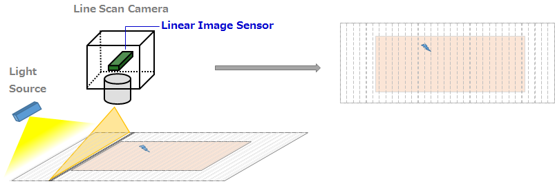 Image of Defects/ Foreign objects detection.