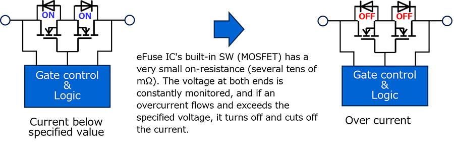 Fig. 3 eFuse IC