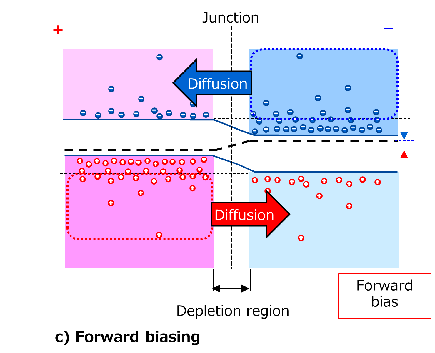 c) Forward biasing