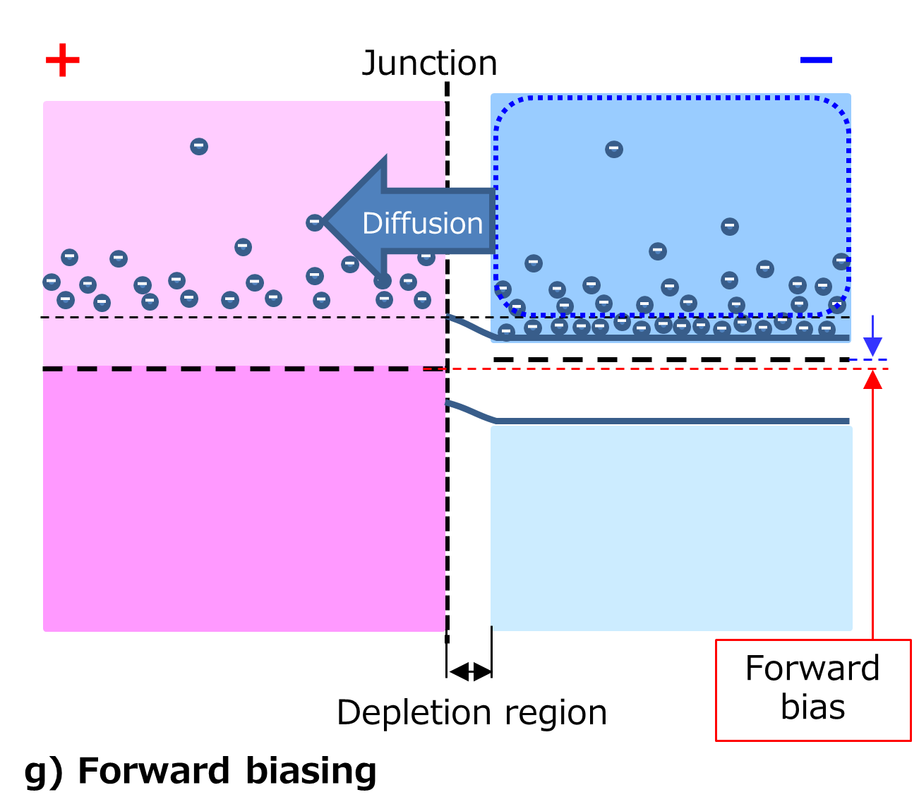 g) Forward biasing