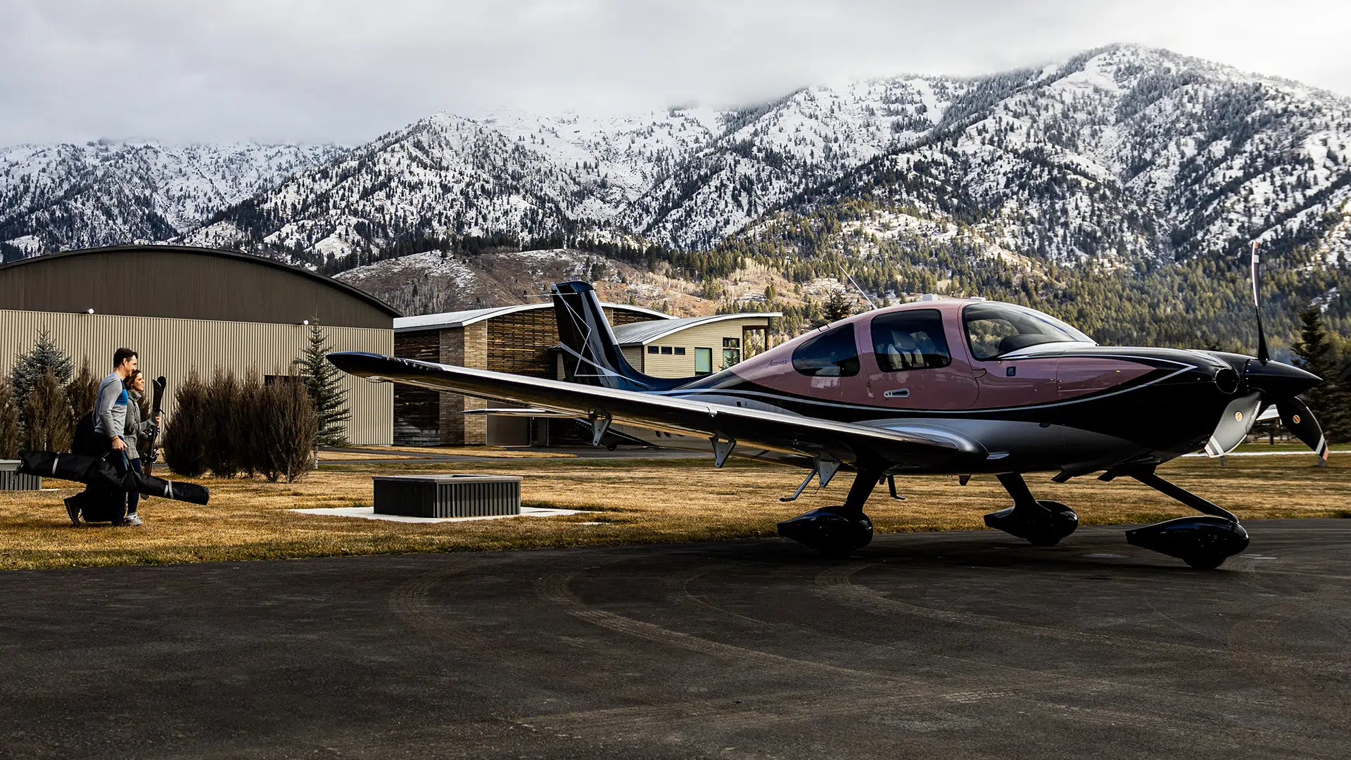 Cirrus Insurance Powered by Wings